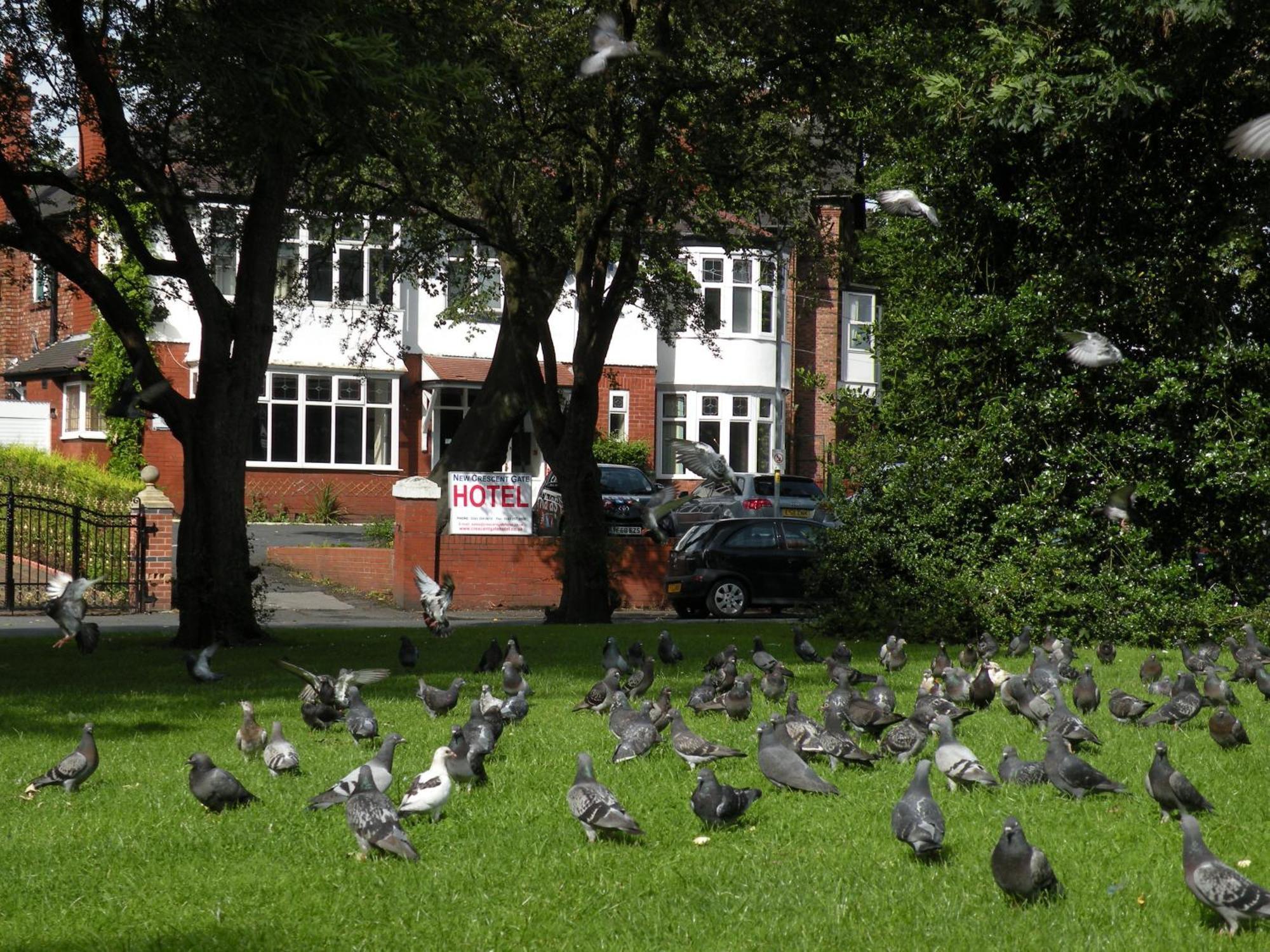 Park Crescent Hotel Manchester Luaran gambar